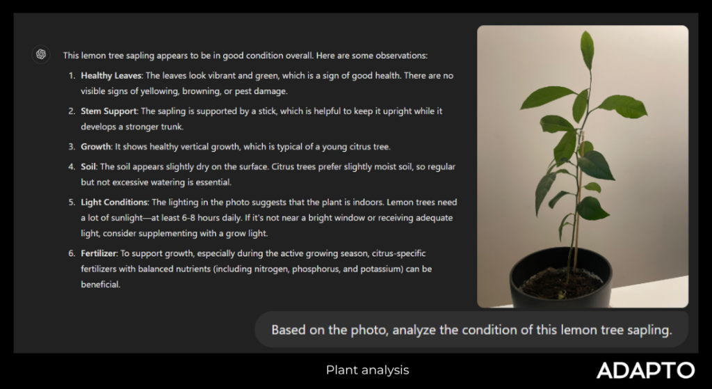 Plant analysis with ChatGPT